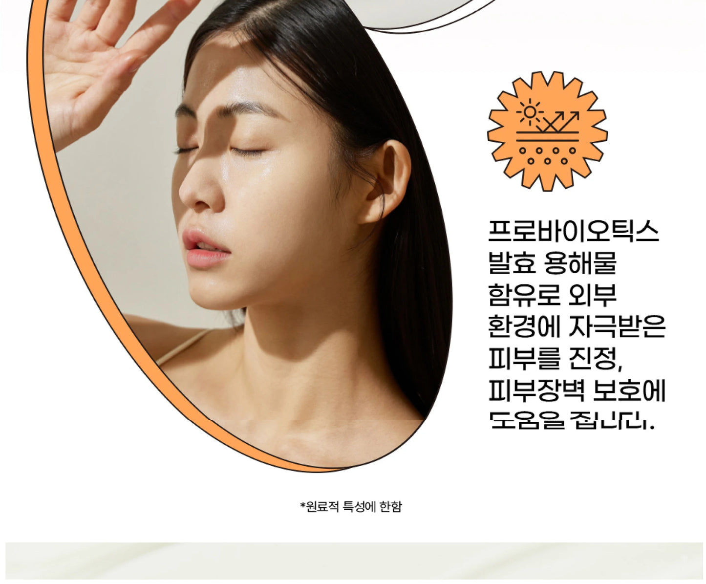 SPF50+ Beauty of Joseon Sunscreen Korean Rice Probiotic Solar Blocker Skin Cream Anti UV Sun Block Facial Mild Moisturizer 50ml