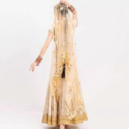 2025 indian traditional sari gauze embroidery exotic style women veil ethnic elegant long shawl women elegant indian shawl s590