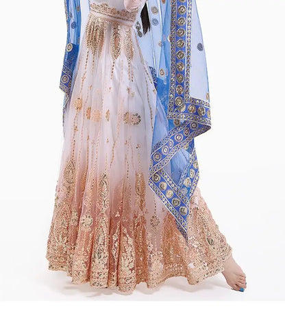 2025 indian traditional sari gauze embroidery exotic style women veil ethnic elegant long shawl women elegant indian shawl s590