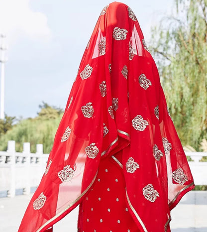 Indian Women's Ethnic Dance Costume Sari Next  Chabi Three Piece Set